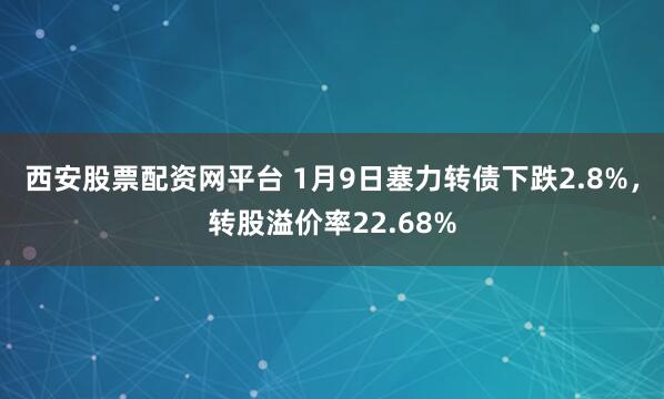 西安股票配资网平台 1月9日塞力转债下跌2.8%，转股溢价率22.68%