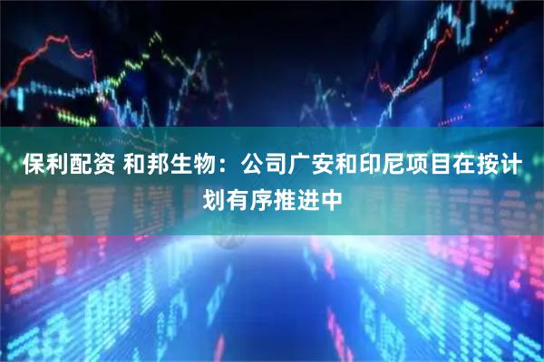 保利配资 和邦生物：公司广安和印尼项目在按计划有序推进中