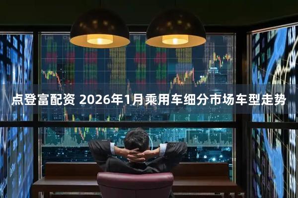 点登富配资 2026年1月乘用车细分市场车型走势
